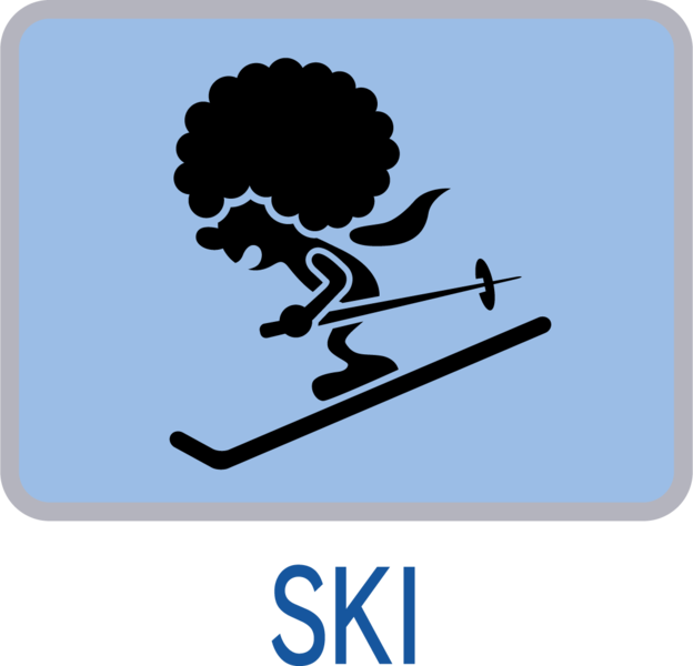 File:Ski (icon) - Game & Wario.png