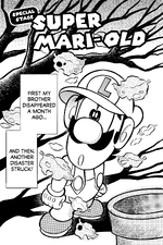 Special chapter (English)