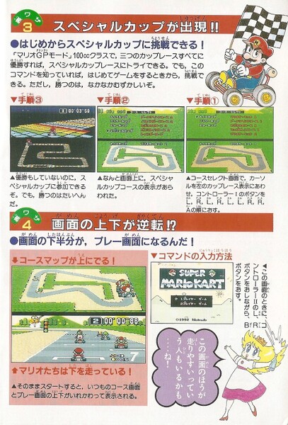 File:Walkthrough 2 SMK1.jpg