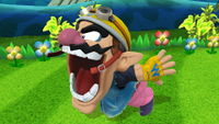 Wario's Chomp in Super Smash Bros. for Wii U.