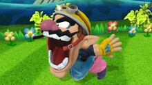 Wario's Chomp in Super Smash Bros. for Wii U.