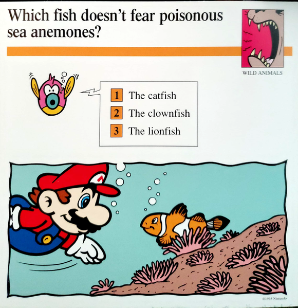 File:Anemones quiz card.png