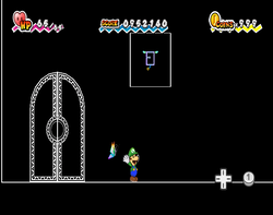 Luigi using Fleep to uncover the Count Bleck Special Card in Castle Bleck Inner Sanctum of Super Paper Mario.