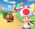 The course icon of the R variant with Toad