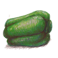 A bell pepper
