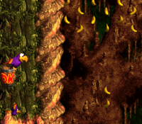 Quawks stuck in the wall in Buzzer Barrage in Donkey Kong Country 3: Dixie Kong's Double Trouble!