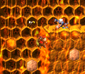 The Kongs cling to a honey wall on a platform with a Klampon