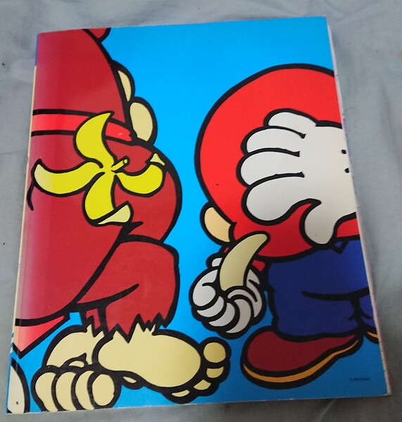 File:Mario & Donkey Back Cover.jpg