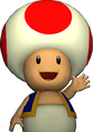 Toad