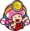 Toadette icon CTTT.png