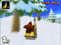 DK Pass MKWii Shortcut.png