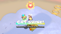 Collecting a Cat Shine in Bowser's Fury