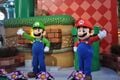 Mario & Luigi Photo Opportunity.jpg