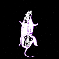 RoseradeC7-2026-1.png