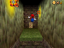 Mario at Hazy Maze Cave