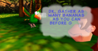 Squawks the Parrot in Donkey Kong 64