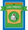 Level 3 Luigi Knights card from the Mario Super Sluggers card game