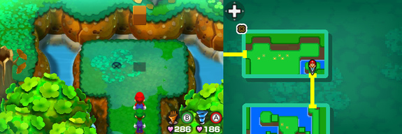 Location of the second beanhole in Dimble Wood.