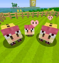 Midbus pigs minecraft 2.jpg
