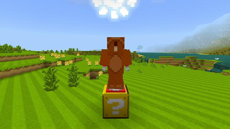 File:Minecraft Mario Mash-Up Tanooki Suit.jpg