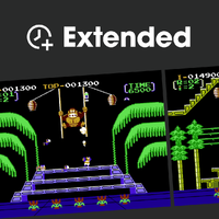 Cover image for the Extended-Playback Collection playlist from Donkey Kong 3 on Nintendo Music