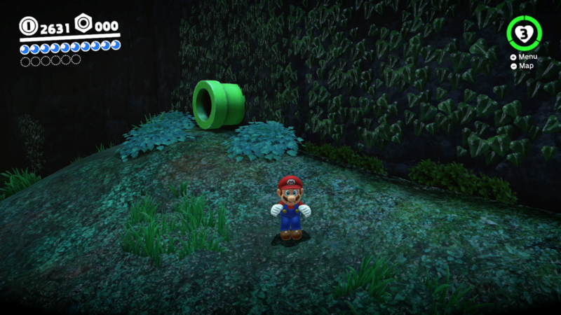File:SMO Wooded Moon 30.png
