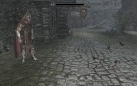 ShroomBirdsSkyrim15.jpg