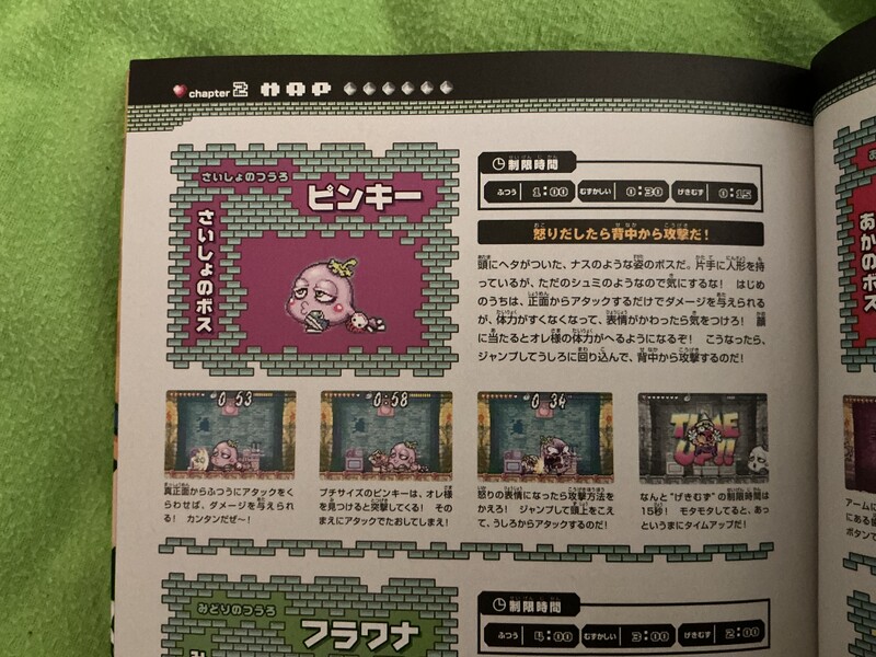 File:WL4 Spoiled Rotten Enterbrain.jpg