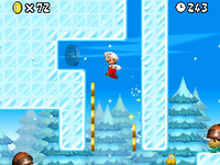 World 5 (New Super Mario Bros.) - Level 3