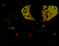 Thumbnail for version as of 19:54, June 14, 2026