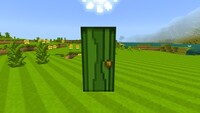 Minecraft Mario Mash-Up Jungle Door.jpg