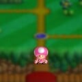 Mini Toadette in New Super Mario Bros. U Deluxe