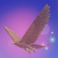 Squared screenshot of a bird from Super Mario Odyssey.