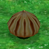 A Flower Bud in Wario World