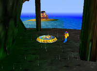 A setup for a Golden Banana for Tiny Kong on DK Isles.