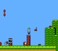 New Super Mario Bros. 2 - Wikipedia