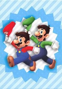 Mario & Luigi group card from the Super Mario Trading Card Collection
