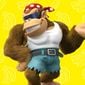 Profile of Funky Kong from Play Nintendo.