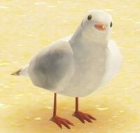 A seagull from the Seaside Kingdom of Super Mario Odyssey