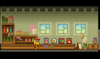 Howzit's Item Shop in Yold Town in the game Super Paper Mario.