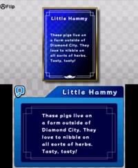 Little Hammy Bio (C).jpg