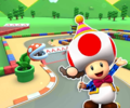 The course icon of the R/T variant with Toad (Party Time)
