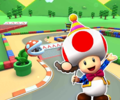 The course icon of the Reverse/Trick variant with Toad (Party Time)