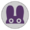 Nabbit's emblem from Mario Kart Tour