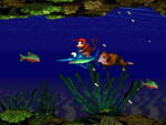 The image for "Aquatic Ambiance" from Donkey Kong Country on Nintendo Music.