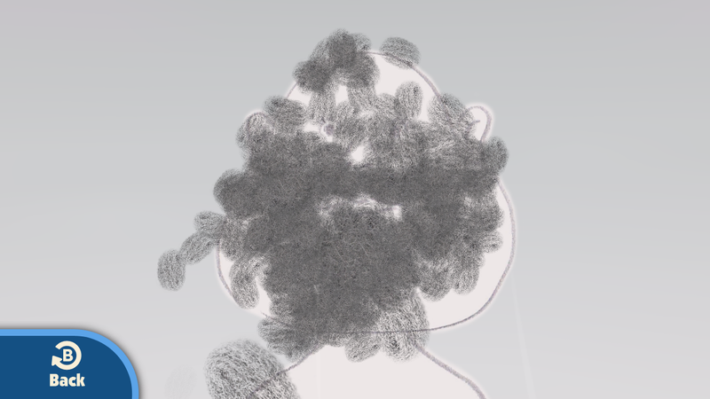 File:G&W Prize Steel Wool TV.png