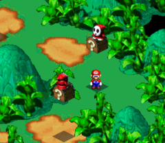 Last 2 Treasures in Rose Way of Super Mario RPG: Legend of the Seven Stars.