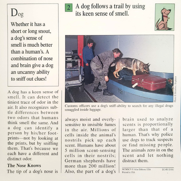 File:Dog trail quiz card back.png