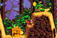 Gusty Glade DKC2 GBA Rattly Crate.png