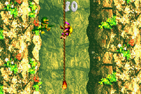 Dixie Kong climbing up a rope in the second Bonus Level of Kong-Fused Cliffs in the Game Boy Advance remake